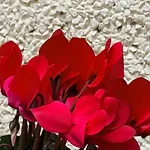 Apartment Vut Plaza Florida - Parking Gratis *